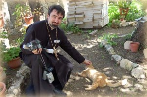 кот бездомный рыжий и священник