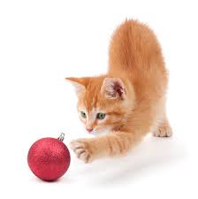 рыжий-котенок-играет-с-шариком-новогодним