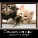 мотиватор рыжий кот мышка Кот любит, когда ему чешут нос!
