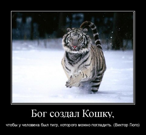мотиватор Бог создал Кошку, чтобы у человека был тигр, которого можно погладить. (Виктор Гюго)