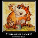 кот рыжий толстый мотиватор веселый смешной, поет душа у кота
