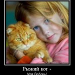 рыжий кот моя любовь