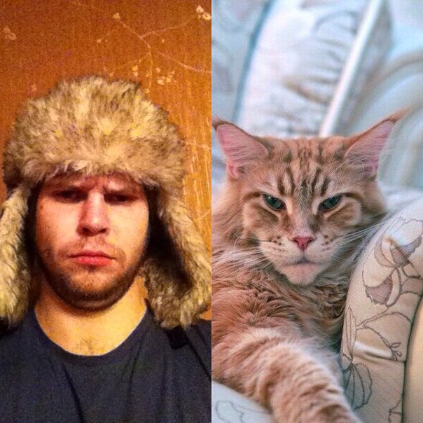 рыжий кот похож с парнем фото