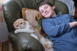 коти мальчик на диване лежат довольные счастливые