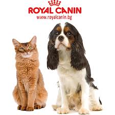 Royal Canin корм для кошек и собак фото