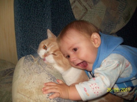 фото ребенок с котом рыжим