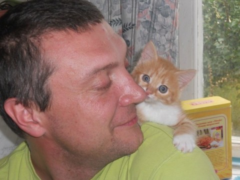 мужик с котеночком рыжим на фото на плече