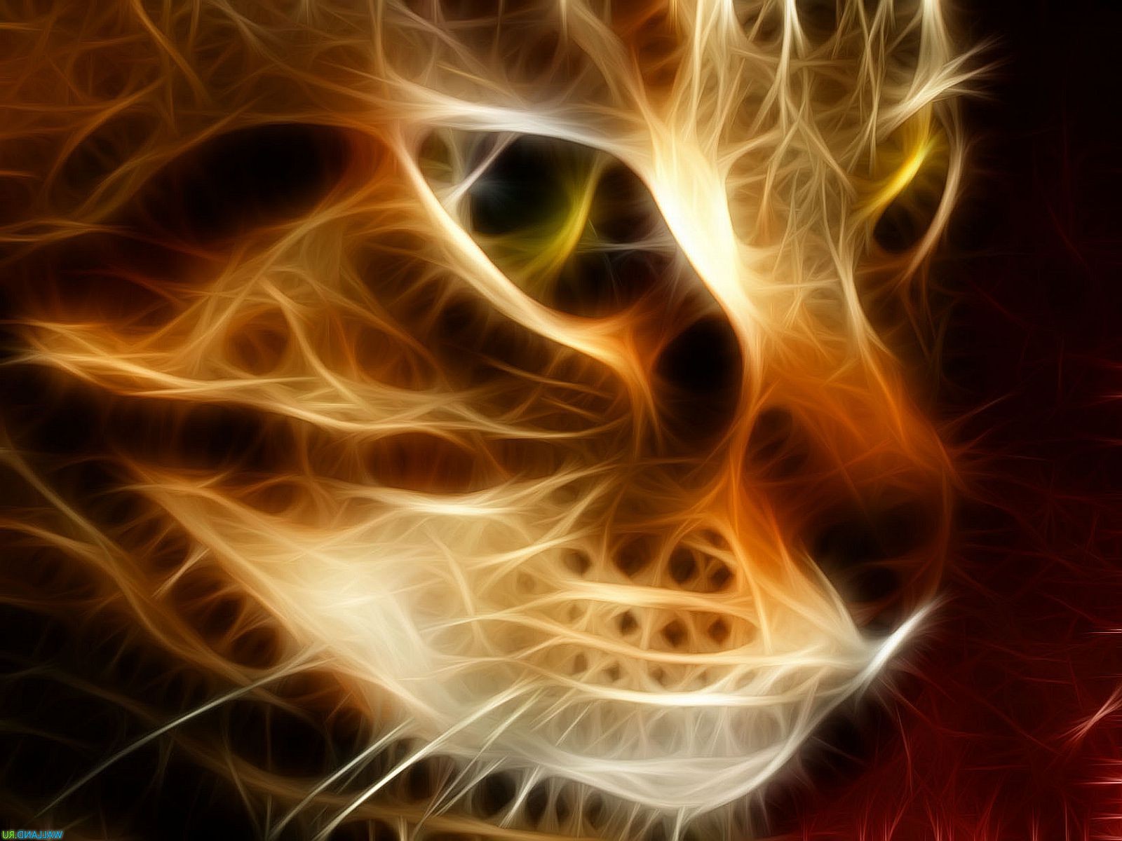 кошка рыжая огненная