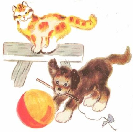 кот рыжий и собака в цирке